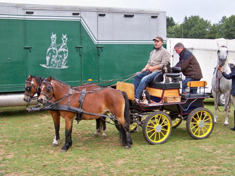 Voorbereiding