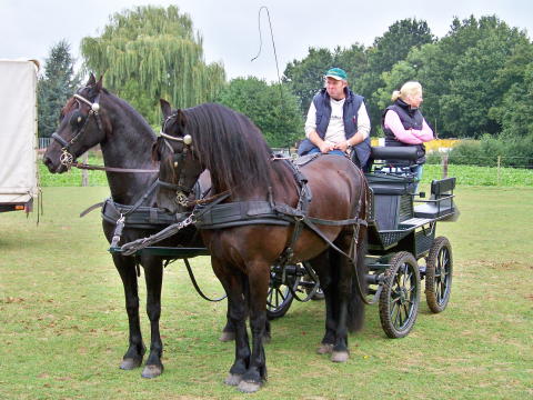 Voorbereiding