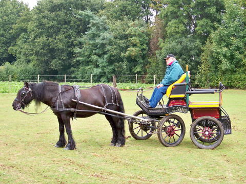 Voorbereiding