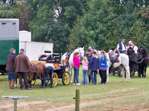 Voorbereiding