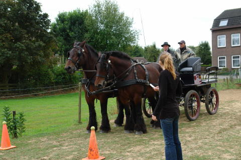 Parcours